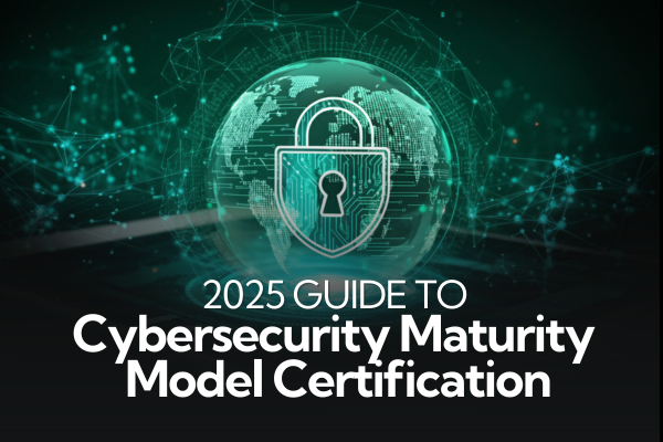 White Paper 5 IT Strategies